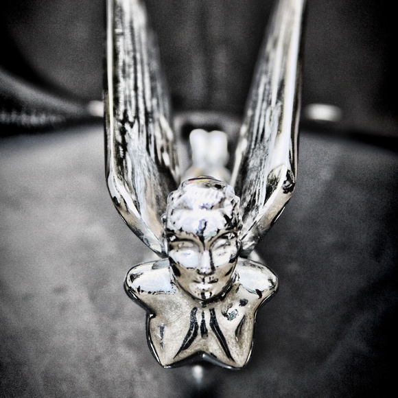 Meet your Posher, Ashley - Picture 1 of 1